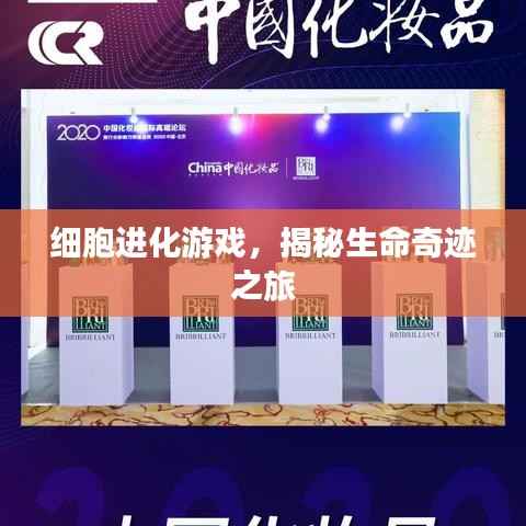 细胞进化游戏,揭秘生命奇迹之旅