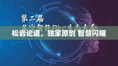 松岩论道,独家原创 智慧闪耀