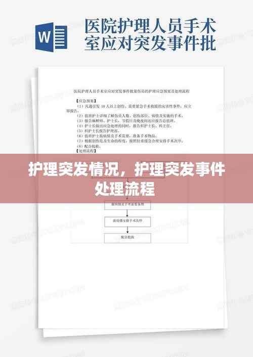 护理突发情况，护理突发事件处理流程 