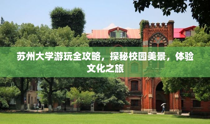 苏州大学游玩全攻略,探秘校园美景,体验文化之旅