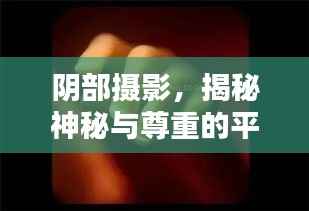 阴部摄影,揭秘神秘与尊重的平衡艺术