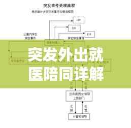 突发外出就医陪同详解，一站式流程指南
