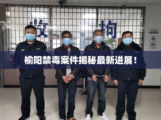 榆阳禁毒案件揭秘最新进展!