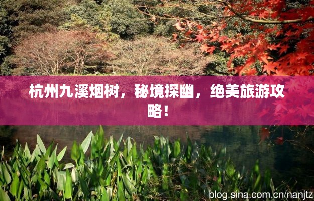 杭州九溪烟树,秘境探幽,绝美旅游攻略!