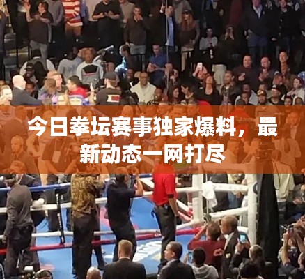 今日拳坛赛事独家爆料,最新动态一网打尽