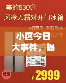 小区今日大事件,揭秘最新动态,不容错过!