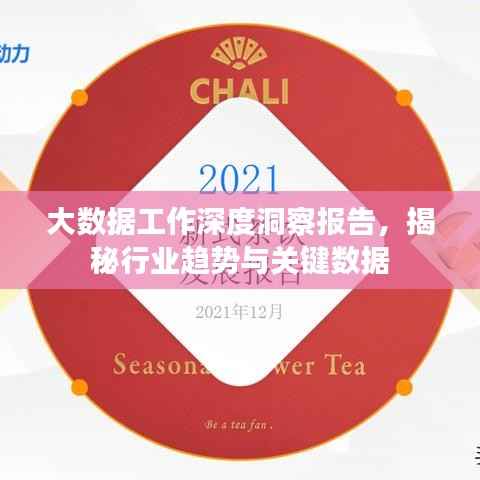 大数据工作深度洞察报告,揭秘行业趋势与关键数据