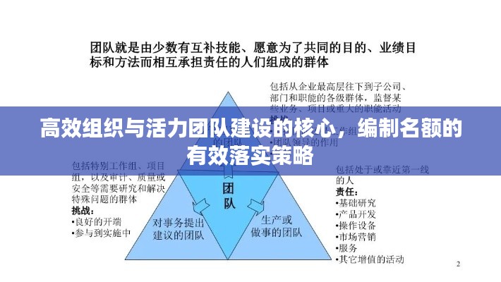 高效组织与活力团队建设的核心，编制名额的有效落实策略