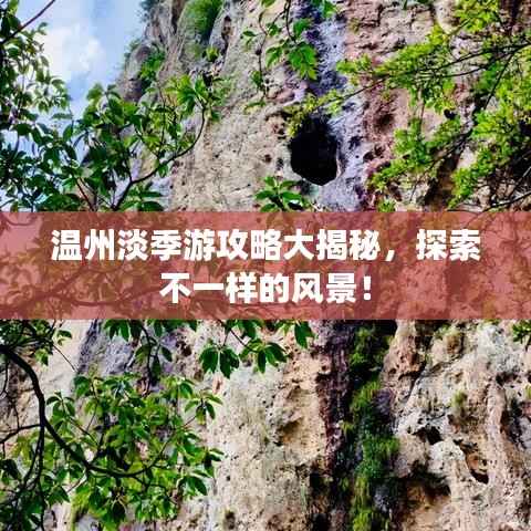 温州淡季游攻略大揭秘,探索不一样的风景!