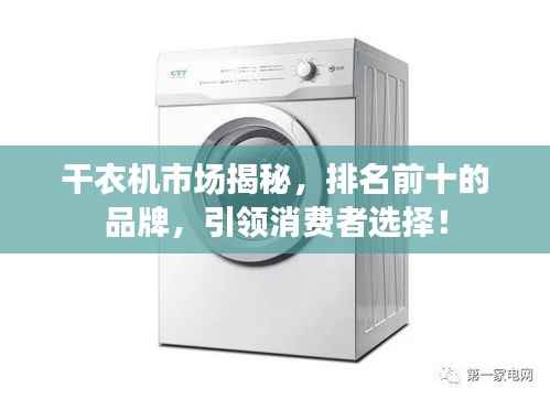 干衣机市场揭秘，排名前十的品牌，引领消费者选择！