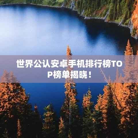 世界公认安卓手机排行榜TOP榜单揭晓!