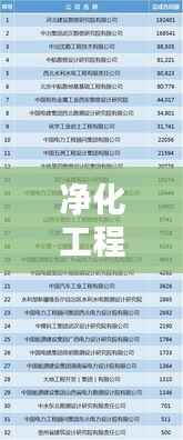 净化工程公司排名揭晓，探寻行业领军者，权威排名一网打尽！