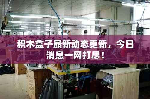 积木盒子最新动态更新,今日消息一网打尽!