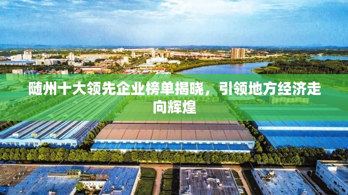 随州十大领先企业榜单揭晓，引领地方经济走向辉煌