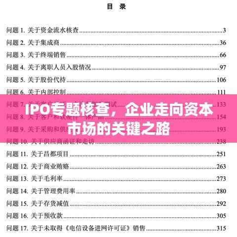 IPO专题核查,企业走向资本市场的关键之路