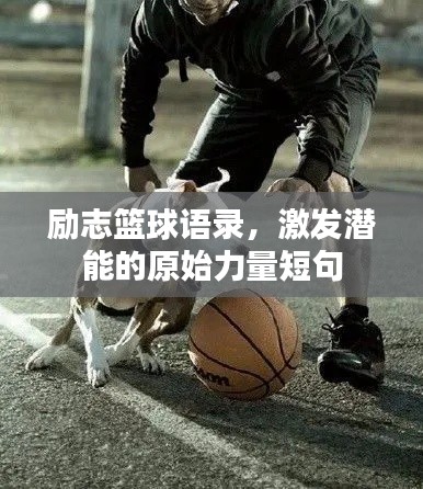 励志篮球语录,激发潜能的原始力量短句