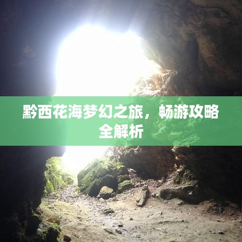 黔西花海梦幻之旅,畅游攻略全解析