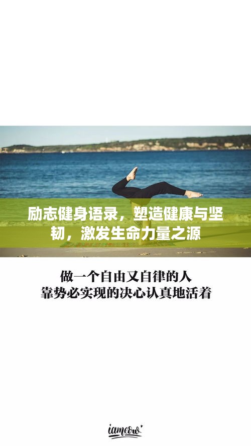 励志健身语录,塑造健康与坚韧,激发生命力量之源