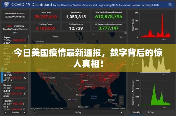 今日美国疫情最新通报,数字背后的惊人真相!
