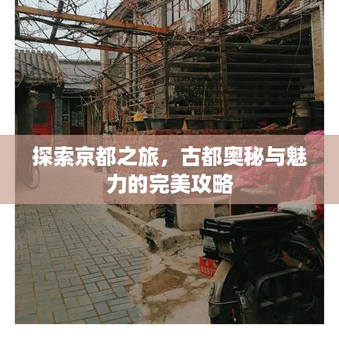 探索京都之旅,古都奥秘与魅力的完美攻略