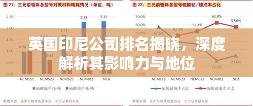 英国印尼公司排名揭晓,深度解析其影响力与地位