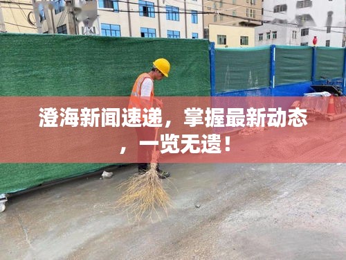 澄海新闻速递,掌握最新动态,一览无遗!